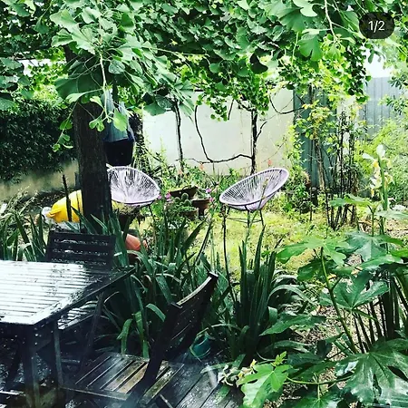 Glicine Bed & Breakfast