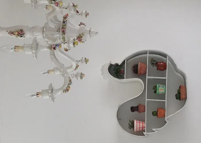 Glicine Civitanova Marche