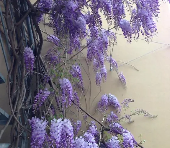 Glicine Bed & Breakfast 3*