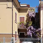Glicine 3*